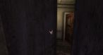 Amnesia test05